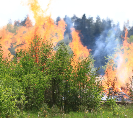 Wildfire data working group