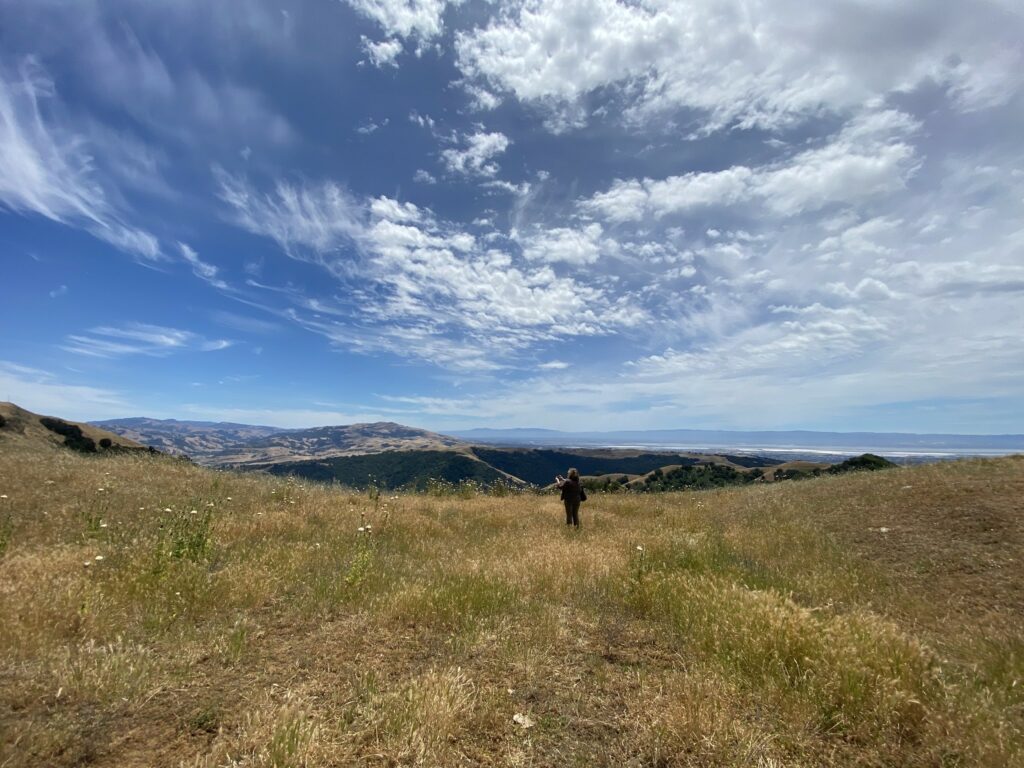 Opening new public lands at Pleasanton Ridge hosted by East Bay Regional Park District, June 2022.