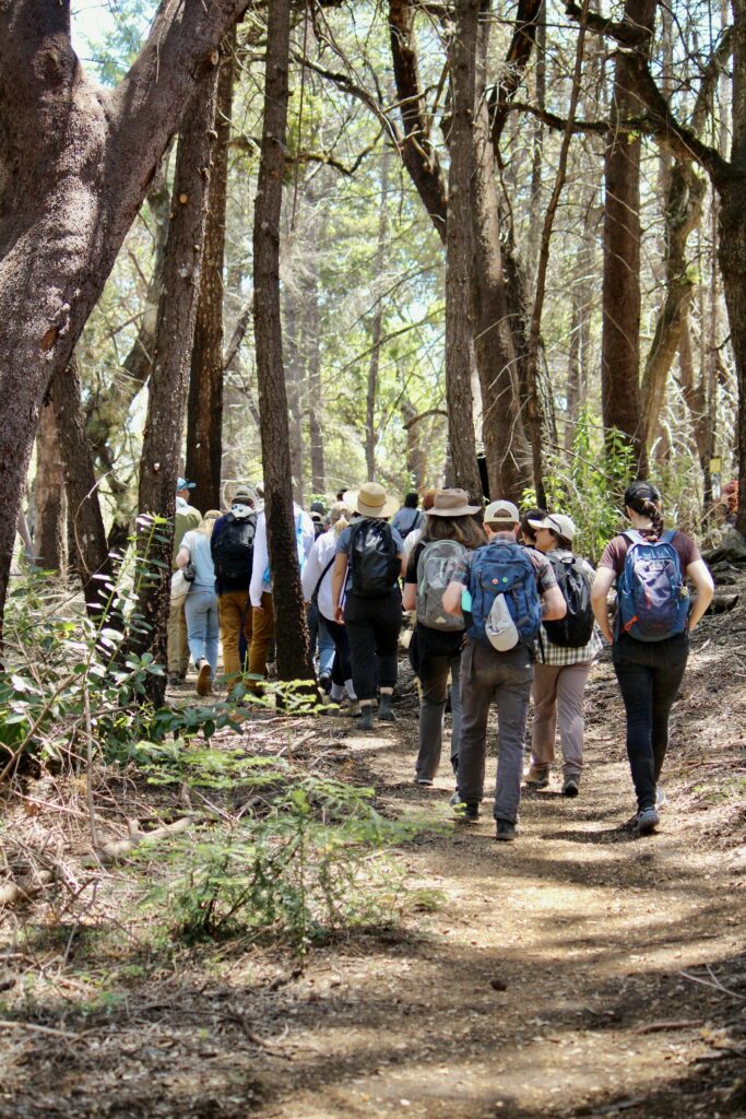 TOGETHER Bay Area Spring Conference field trip to San Vicente Redwoods