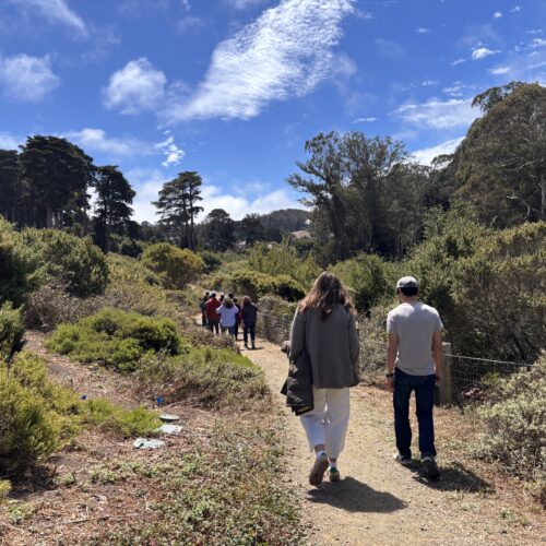 group walk
